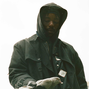 Montell Fish